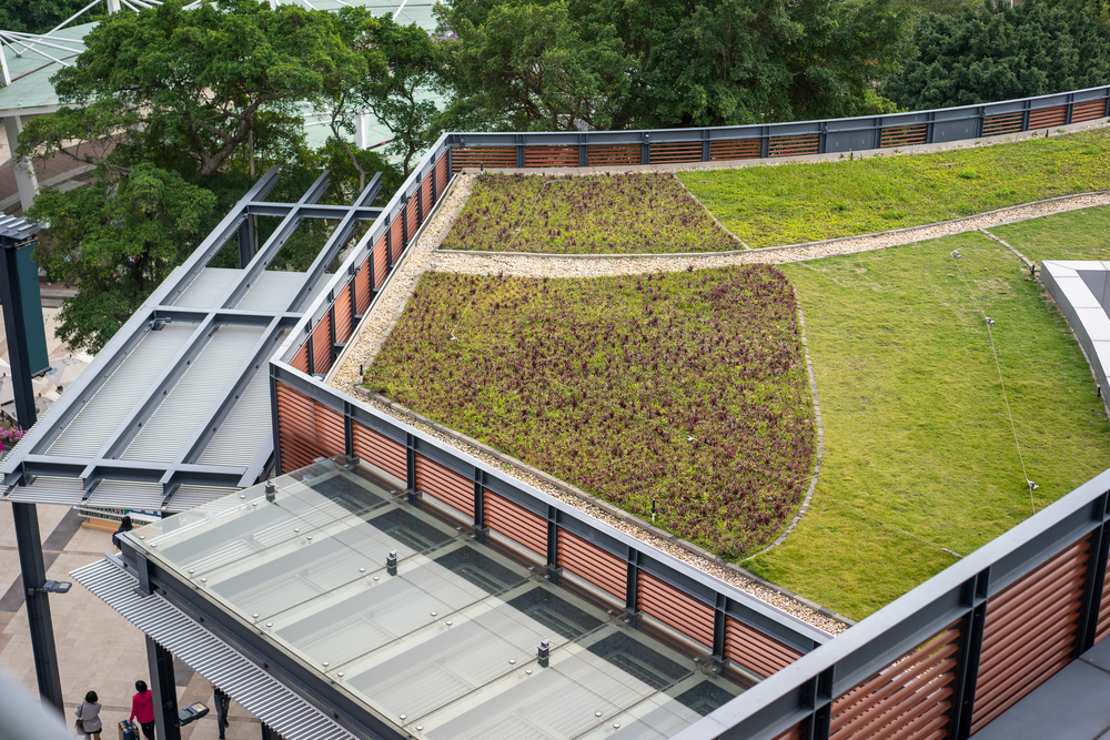 Eco House, Green Roof House, Sustainable Property,  Zero-Emissions House
