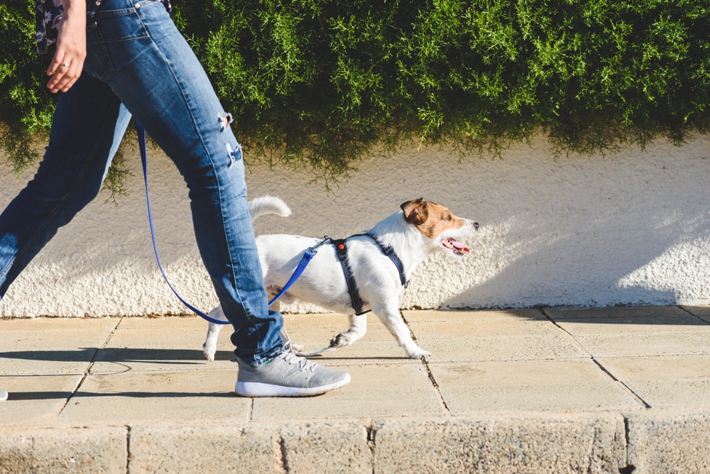  walking more, walking resolution, mobility, alternate transport
