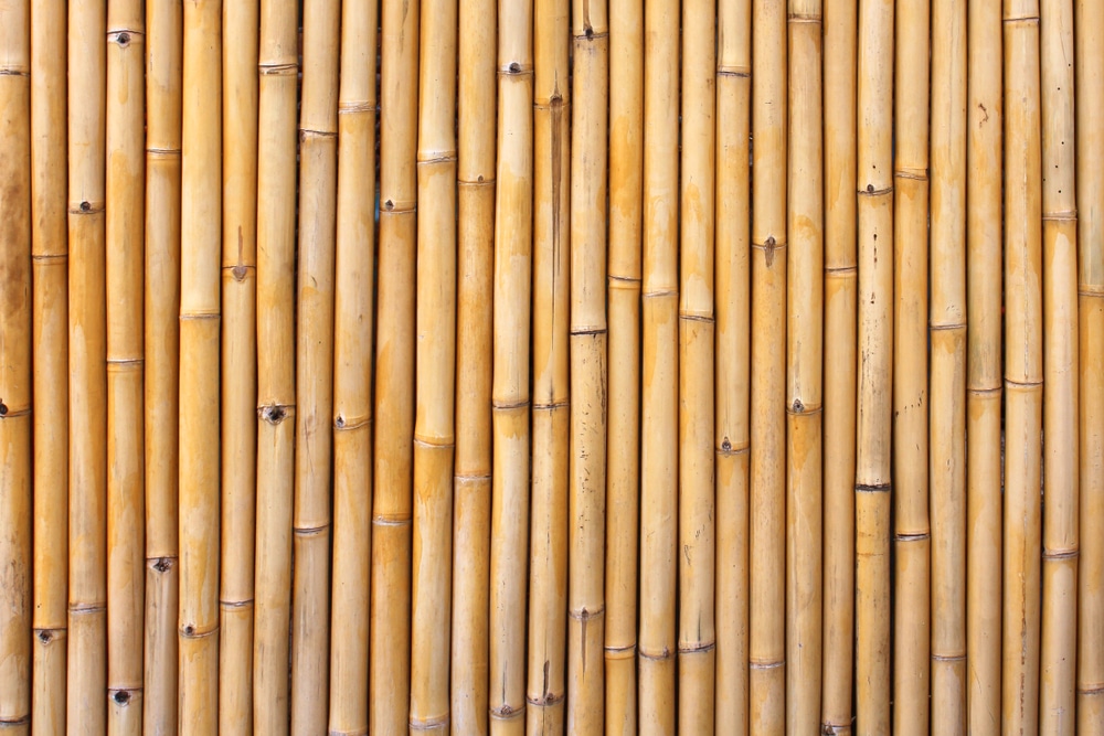 bamboo construction, sustainable bamboo, bamboo house applications, natural bamboo

