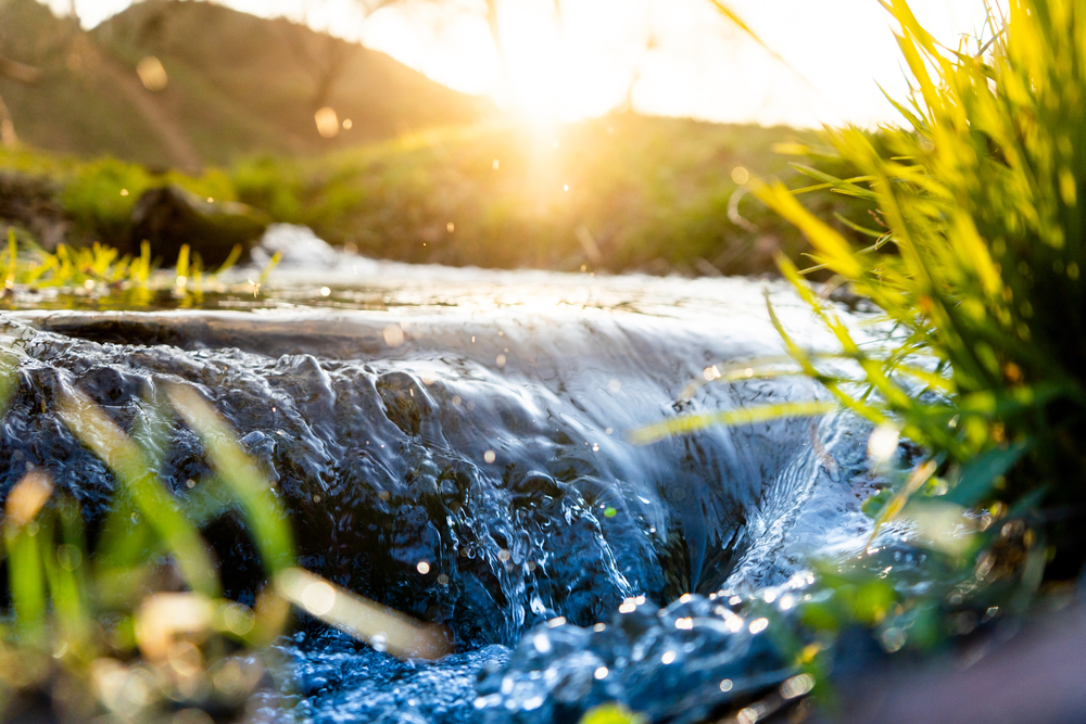 Saving-water-from-home