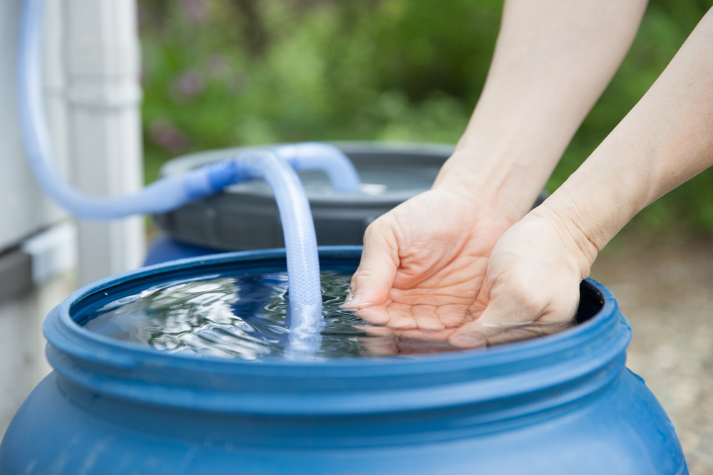 Water Barrel, Rain Barrel, Water Preservation, Water Saving