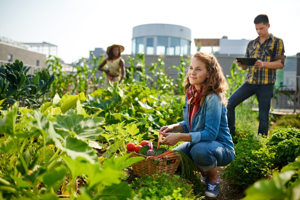 Healthy Lifestyle in Sustainable Community, Green Lifestyle, Sustainable Community
